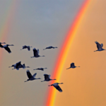 Avec le printemps … tout se réveille !